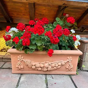 Del Sole Villa